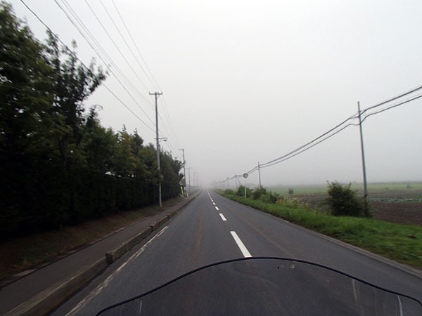 国道３３８号線を北上していると、目の前に霧が発生していた